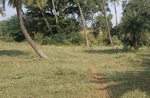 Rau House | M se maati village stay