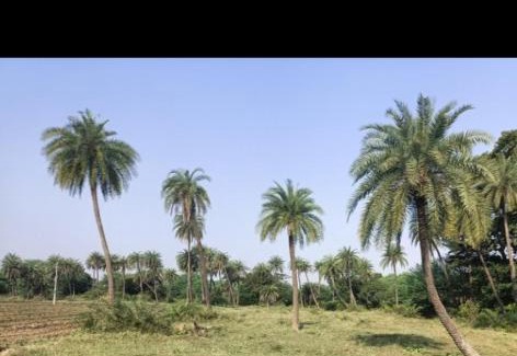Rau House | M se maati village stay