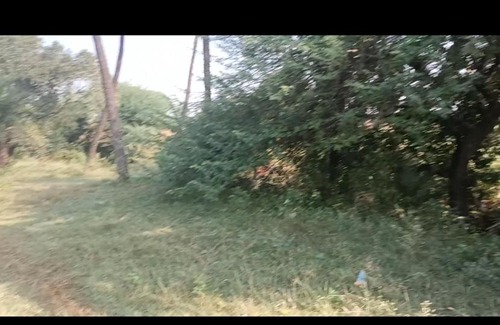 Rau House | M se maati village stay