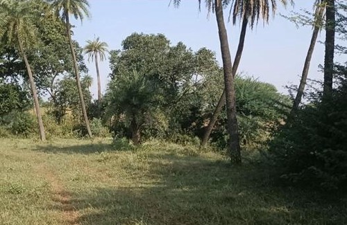 Rau House | M se maati village stay