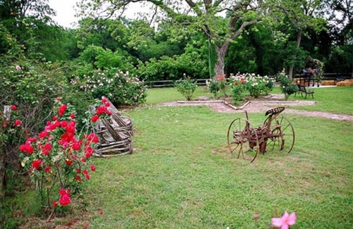 Sutherland Springs Cabin | #M Son's Rio Cibolo - Glamping Cabin