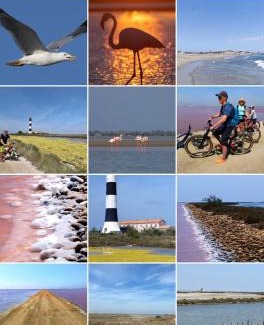 Salin-de-Giraud Bed & Breakfast | Maébrilu Camargue Provence