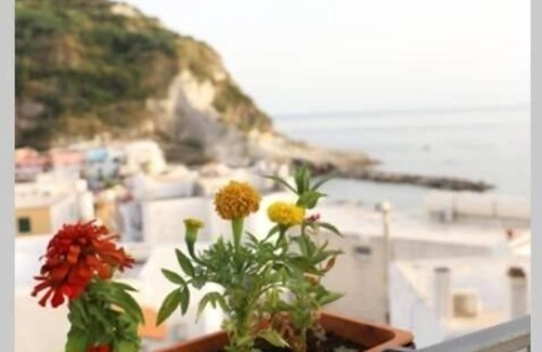 Sant'Angelo Apartment | Maadry House apartment 1