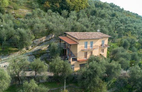 Brenzone sul Garda Apartment | Madonna Dell'Aiuto True View Olivo