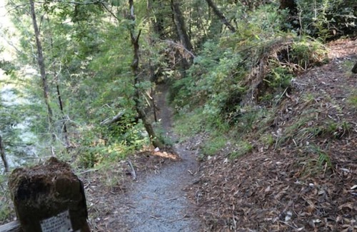Garberville Cabin | "Madrone" Cabin In the Redwoods, River Access, WiFi nn