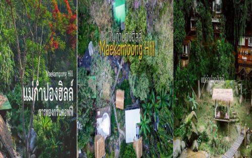 Mae On Hotel | Mae Kampong Hill