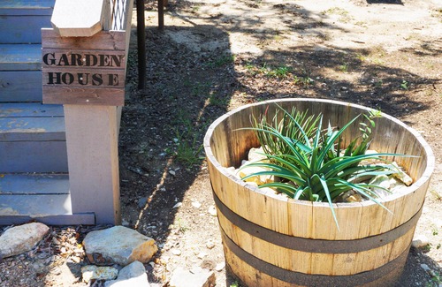 Dripping Springs Cabin | Magazine-Featured Pet-Friendly Treehouse w/Cozy King Bed & Fire Pit