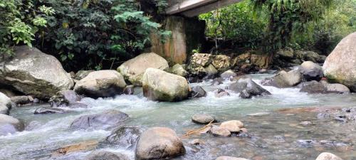 Penebel House | Magical Breeze Cabin