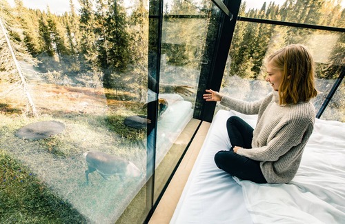 Rukatunturi Cabin | Magical Pond Nature Igloos