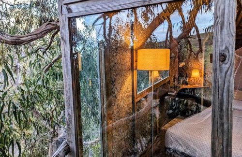 Lagos Other | Magical Treehouse