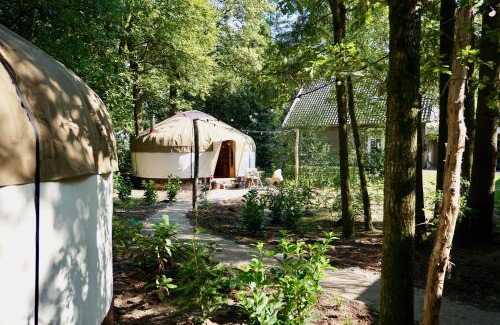 Erp Other | Magical Yurts - Bij de Boswachter