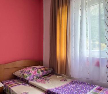 Pluzine House | MAGLIC