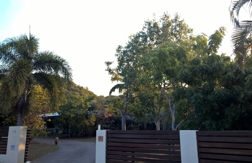 Horseshoe Bay Bed & Breakfast | Magnetic Island Bed and Breakfast