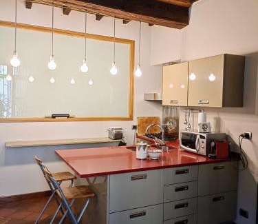 Roman Quarter Apartment | Magnifico appartamento @Turin