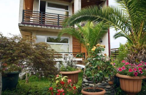 Shekhvetili Villa | Magnito