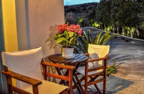 Andros Apartment | Mainades Maisonettes & Studios