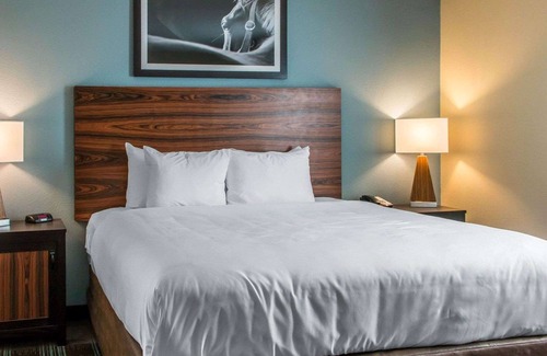 Cotulla Hotel | MainStay Suites Cotulla