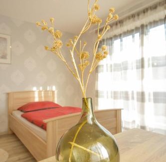 Hassloch Apartment | Mainzimmer - Business Apartments