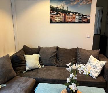 Santy - La Plaine Villa | Maison à 2 pas de Lyon Centre proche tram, métro