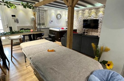 Maisdon-sur-Sevre Apartment | Maison avec jacuzzi