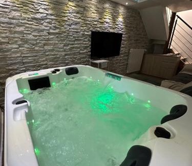 Maisdon-sur-Sevre House | Maison avec spa