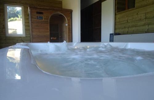 Saint-Andre-dʼApchon Apartment | Maison cosy avec spa, sauna et lamas à proximité de Roanne - FR-1-496-23