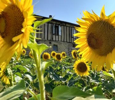 Lussan House | Maison dans le sud du Gers