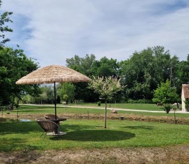 Soings-en-Sologne House | Maison de campagne