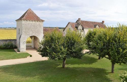 Parcay-sur-Vienne House | Maison de charme avec jardin clos près des vignobles - FR-1-381-262