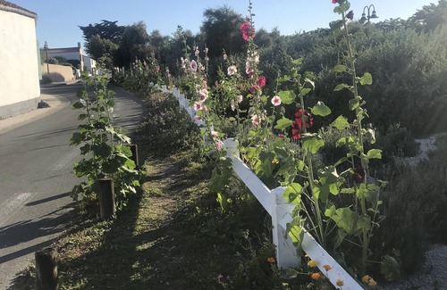 Ile de Re House | Maison de Famille en Bord de mer