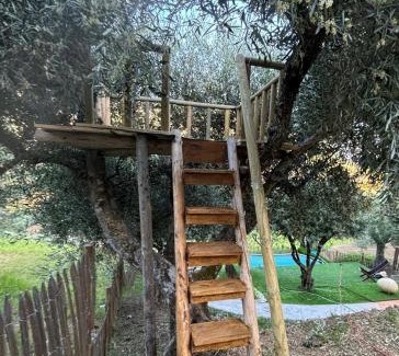Armamar House | maison du olival