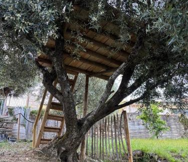 Armamar House | maison du olival
