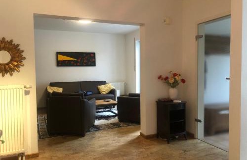 Chemnitz Apartment | Maison Euba am Zeisigwald
