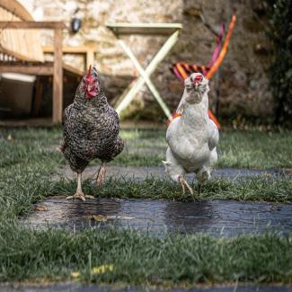 Saint-Jacques - Pirmil House | Maison indépendante cosy avec terrasse privée - La Laiterie