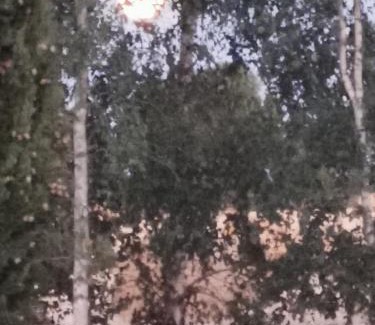 Nere Apartment | Maison la tour