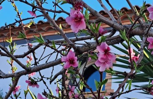 Villeneuve-les-Beziers Bed & Breakfast | MAISON LES AGAPANTHES