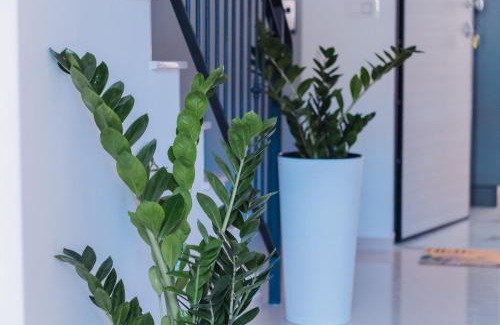 Capo d'Orlando House | Maison Matilda 1