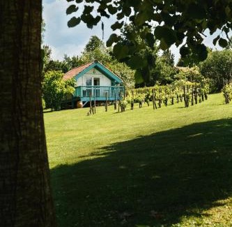 Arcangues House | MAISON PISCINE JARDIN CALME PROCHE BIARRITZ PLAGE et GOLFS