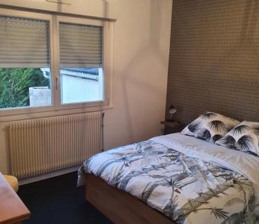 Luxeuil-les-Bains Apartment | Maison Victor Hugo
