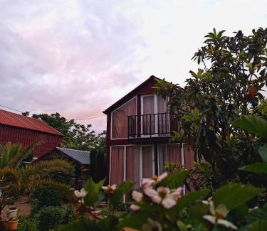 Kobuleti Apartment | Makho's Cottage