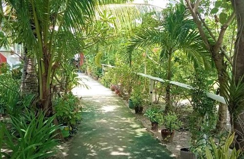 Logon Bed & Breakfast | Malapascua Beach and Dive Resort