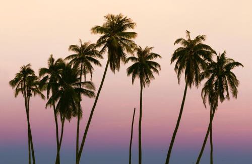 Nembrala Resort | Malole Surf House