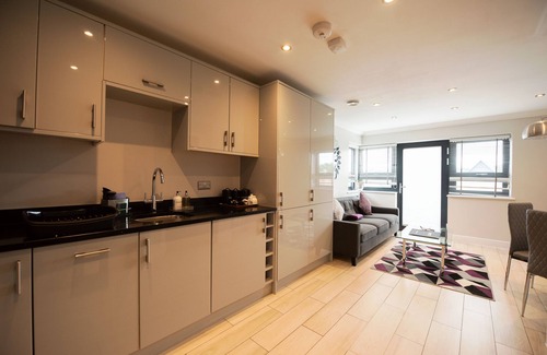 Reading Apartment | Malthouse Court -Luxury 2-Bed Penthouse w Balcony