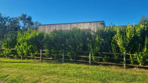 Mangawhai Bed & Breakfast | Mangawhai studio or a room in Guest's House