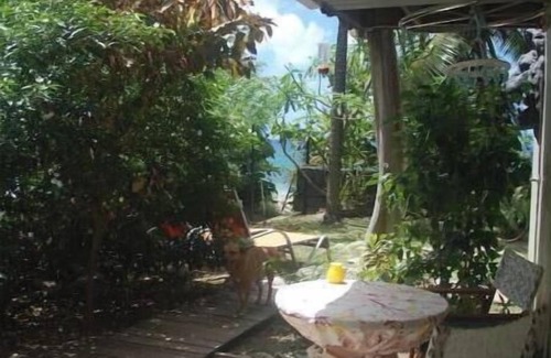Choiseul Quarter Cottage | Mango Splash