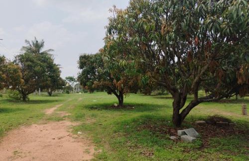 Ramanagara House | Mangonest farmstay