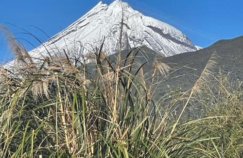 Mangorei Bed & Breakfast | Mangorei Heights - New Plymouth