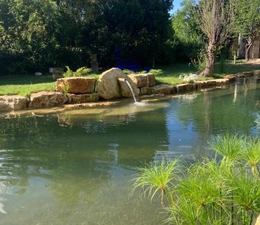 Uzes Bed & Breakfast | Manoir des Sources
