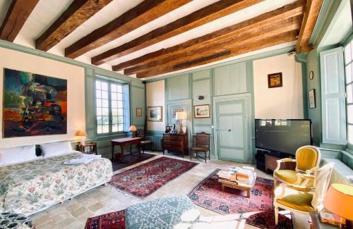 Savonnieres Villa | Manoir du Plessis -Vallée de la Loire-Tours