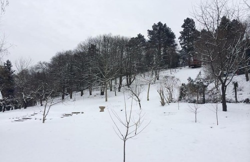 Szentendrei Apartment | Manor House on the Danube Bend